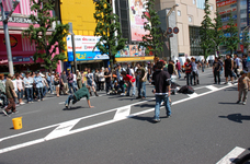 akiba20070520-7219.jpg