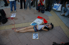 akiba20070520-7686.jpg