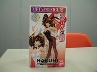 metamo_haruhi-3704.jpg