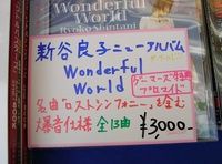新谷良子　アルバム「Wonderful World」