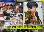 akiba20080219_2006.jpg