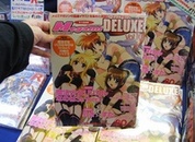 「メガミマガジン DELUXE Vol.10」発売！　表紙と付録ポスターはセクシーコスプレの「なのは」「フェイト」「はやて」