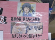 akiba20080520_1175.jpg