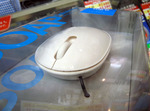 akiba20091007__137.jpg