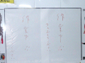 西尾維新「人間シリーズ」完結ポスターが秋葉原駅に登場→半分が当日中に剥がされる…